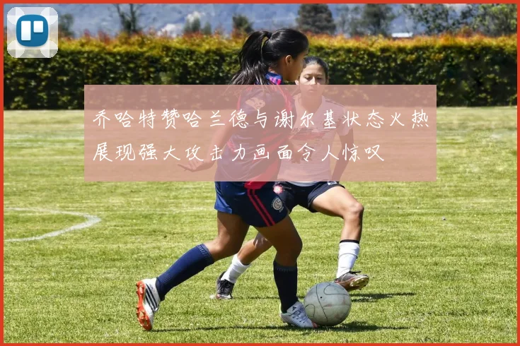 乔哈特赞哈兰德与谢尔基状态火热展现强大攻击力画面令人惊叹