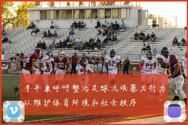 李平康呼吁整治足球流氓暴力行为以维护体育环境和社会秩序