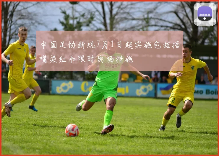 中国足协新规7月1日起实施包括捂嘴染红和限时离场措施